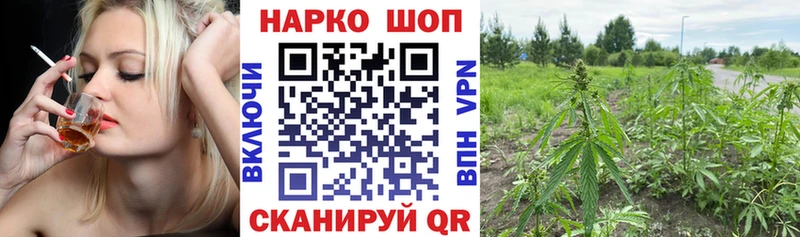 Как найти наркотики Кольчугино ГАШИШ Марихуана СК blacksprut сайт Меф Галлюциногенные грибы