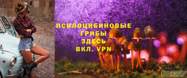 прущие грибы Алексин