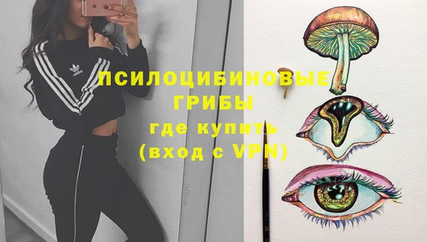 прущие грибы Алексин