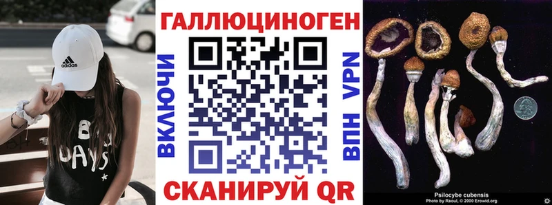 Галлюциногенные грибы мицелий  Кольчугино 